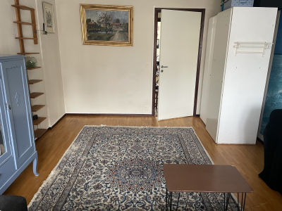 Övrig - 